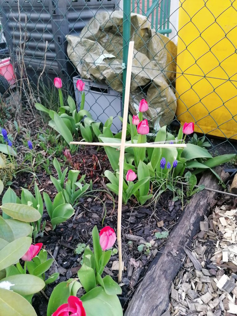 Tulpen und Holzkreuz im Frühling